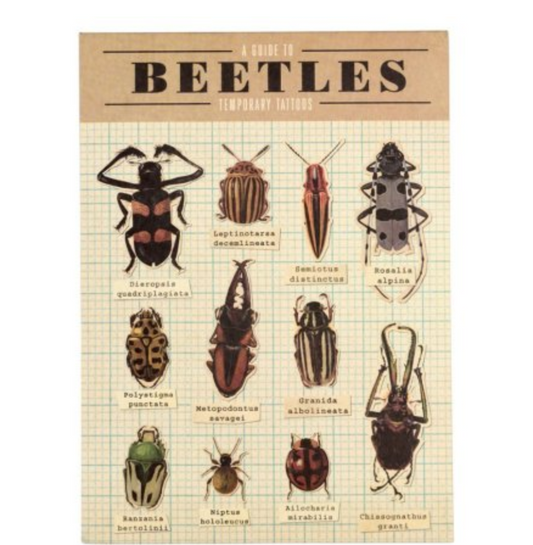 A Guide to Beetles Temporary Tattoos