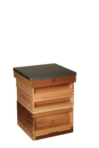 Complete British Cedar National Hive